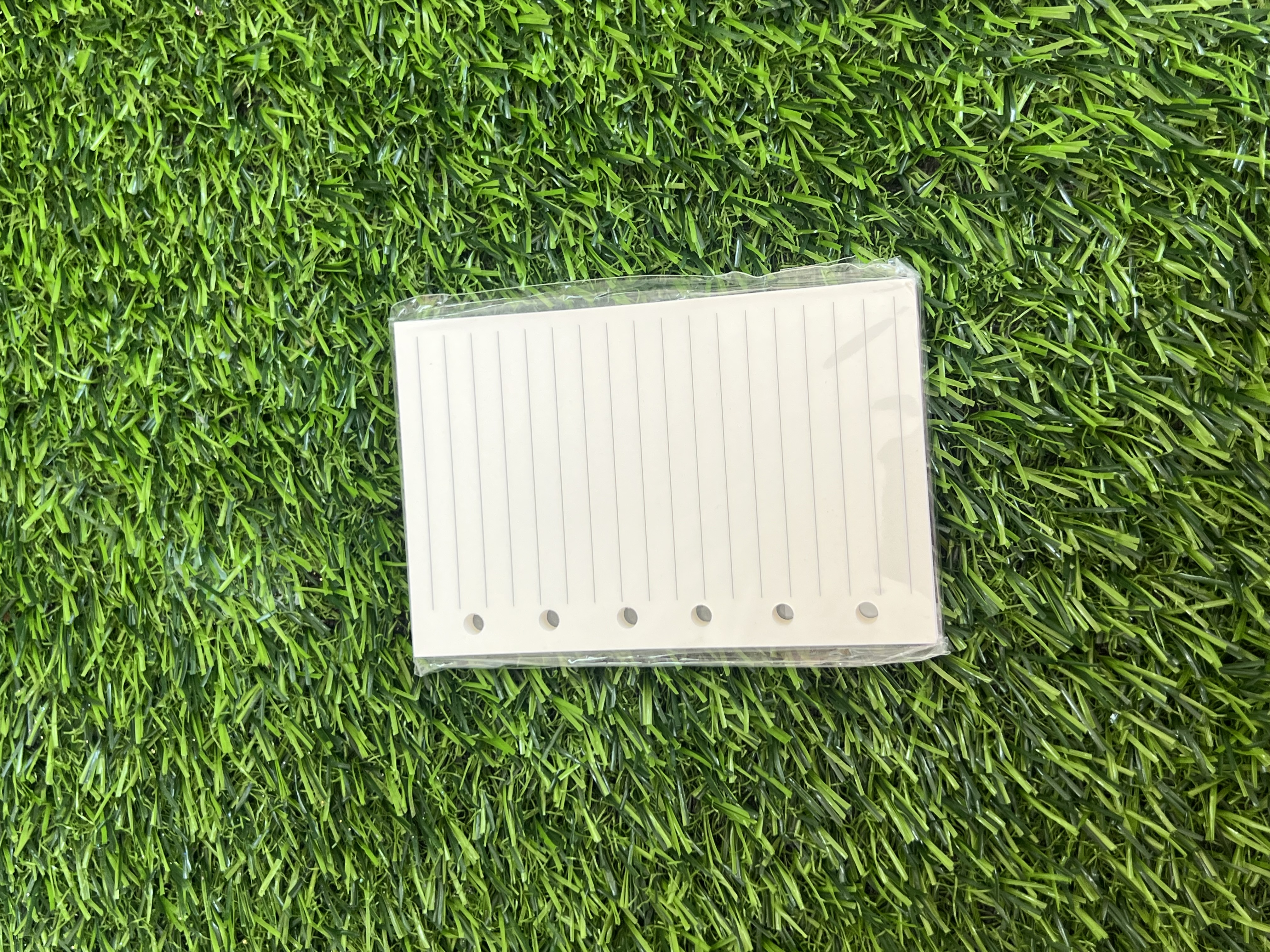 Hojas De Rayas Agenda S A7