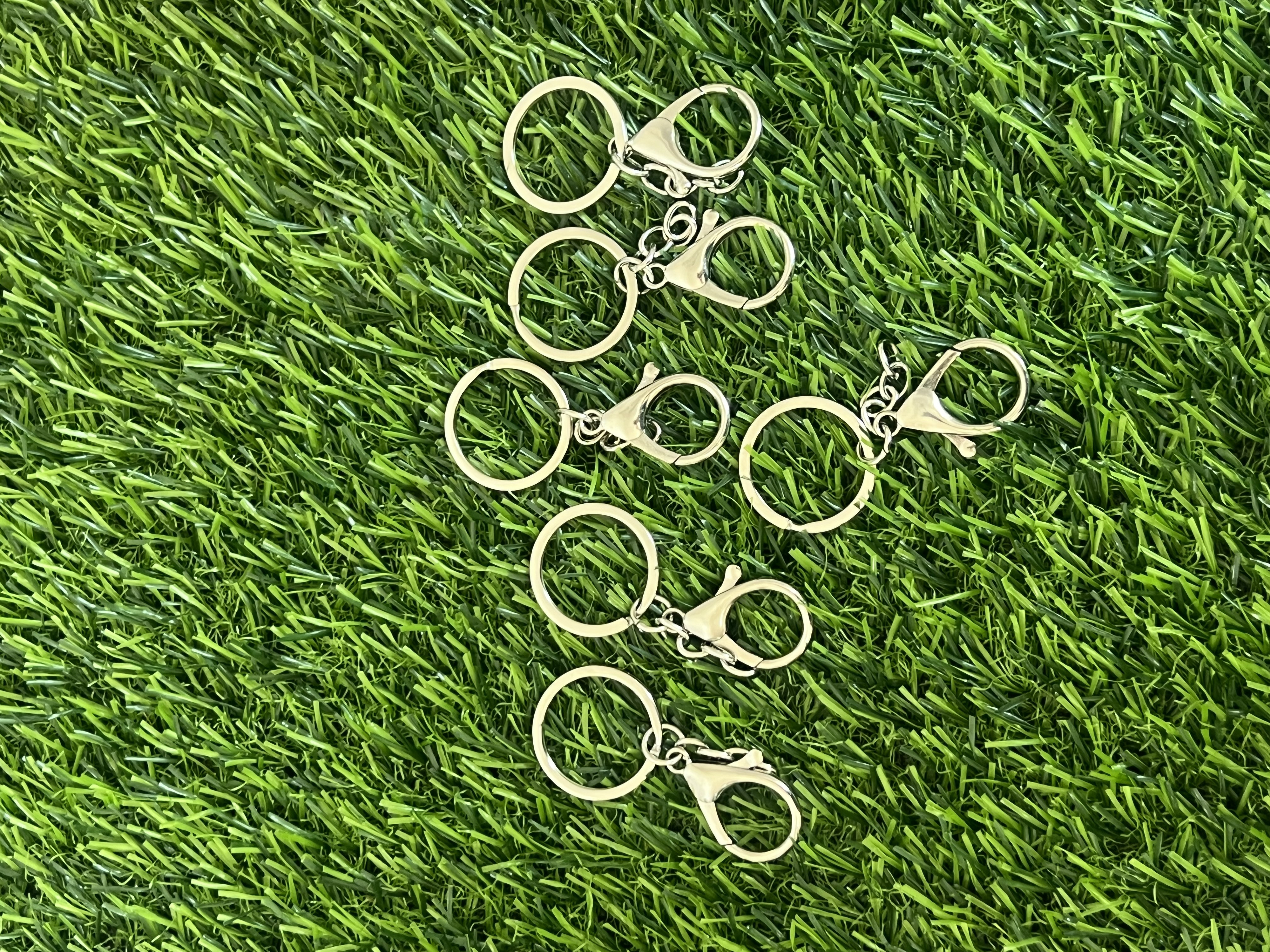 Llaveros plateados con gancho de langosta x6