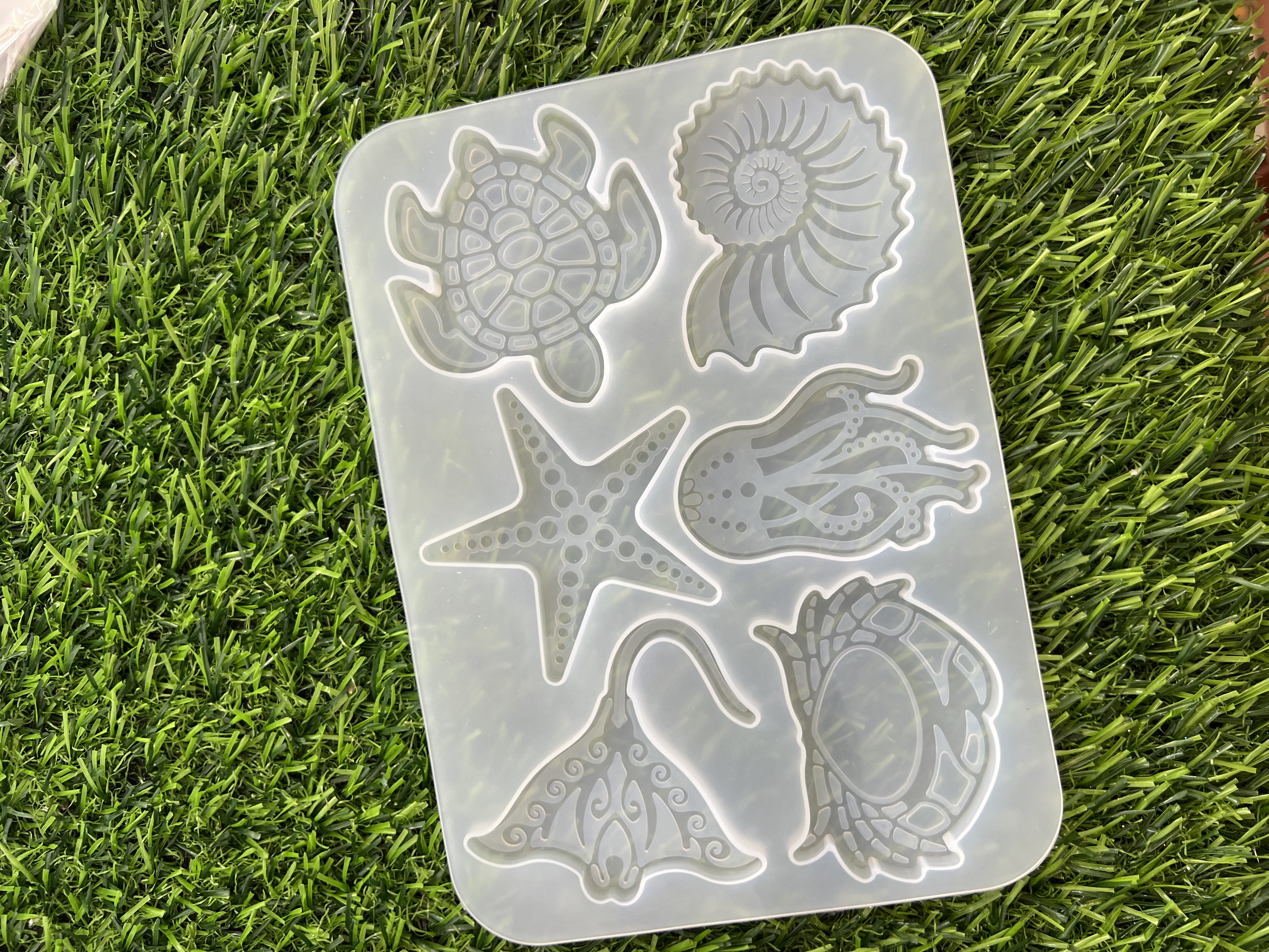 Molde Marino Mantarraya Estrella De Mar Tortuga Cangrejo