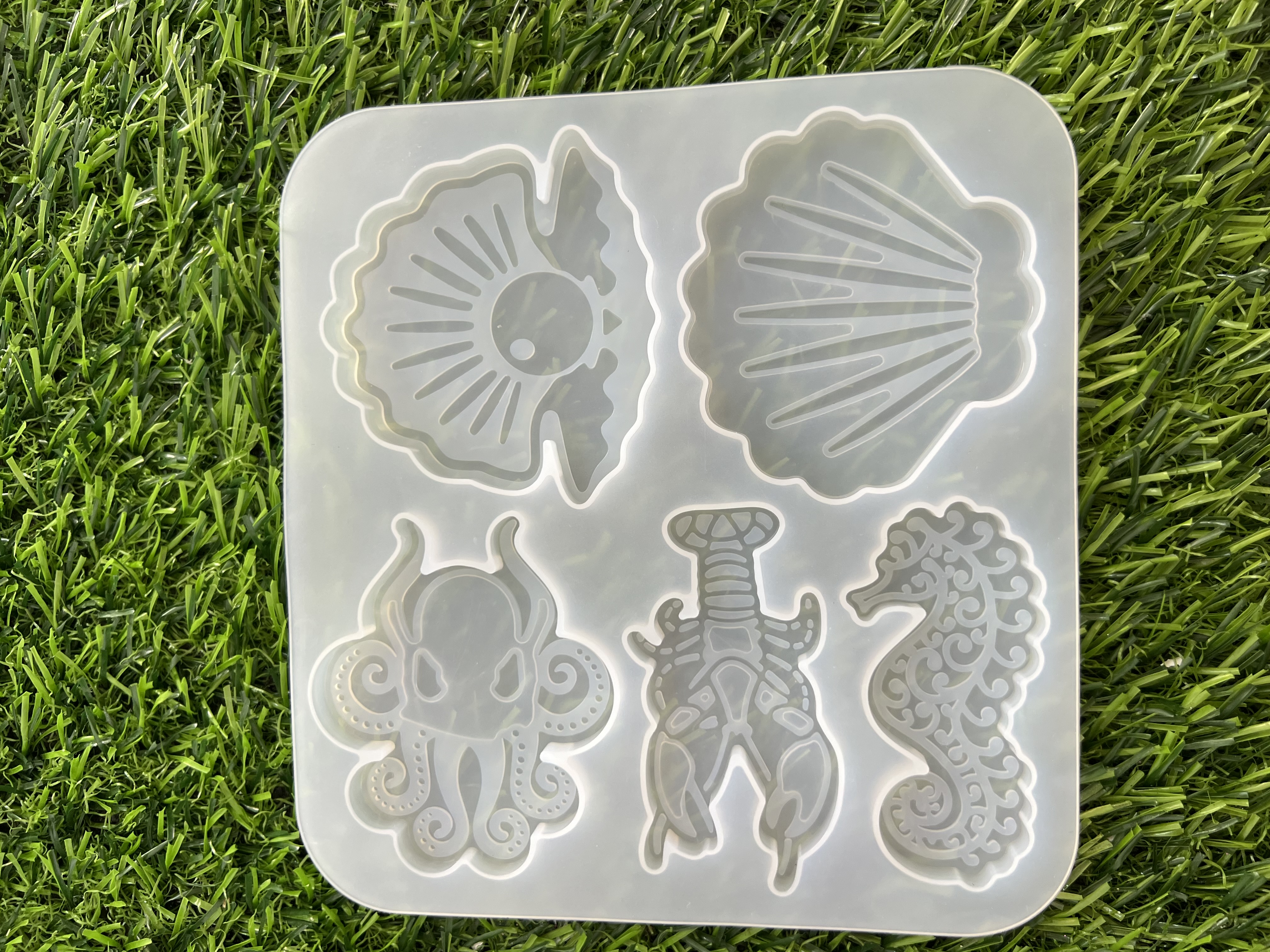 Molde Marino Concha Caballito De Mar Langosta Concha Perla