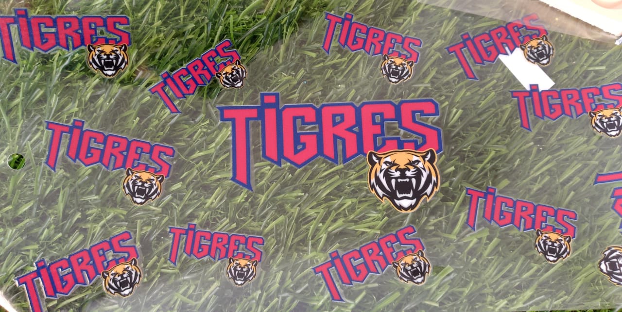 Uvdtf Beisbol Tigres